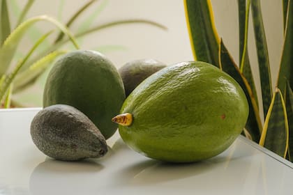 La palta puede aportarnos hasta 58 miligramos de magnesio (imagen ilustrativa)