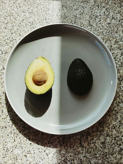 La palta se recolecta del árbol cuando alcanza un tamaño adecuado y luego se deja reposar a temperatura ambiente