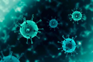 La pandemia de coronavirus aceleró el desarrollo de nuevos productos para proteger a las superficies contra todo tipo de microorganismos infecciosos. Ahora la Argentina ya cuenta con un nano desarrollo que permanece activo por más de un año en las superficies.