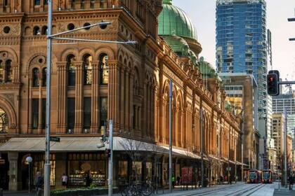 La pandemia de coronavirus es la primera en su escala que nos sucede como una especie "urbanizada"