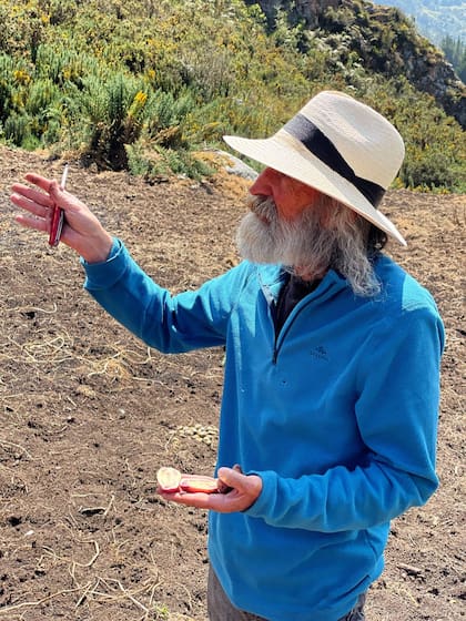 La papa es el principal cultivo de Utopía Bio.