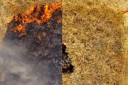 La parcela de la derecha está recubierta con el gel retardante de llama, evitando la propagación del fuego. La parcela de hierba no tratada, a la izquierda, fue rápidamente envuelta por las llamas