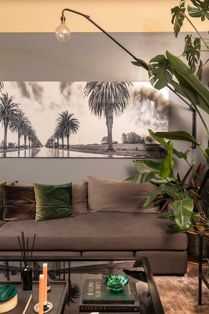 La pared se pintó de gris para que se fundiera el sillón en L de pana (Sixta) y se destacaran la obra fotográfica (José Pereyra Lucena) y los detalles verdes, tanto naturales como de deco.