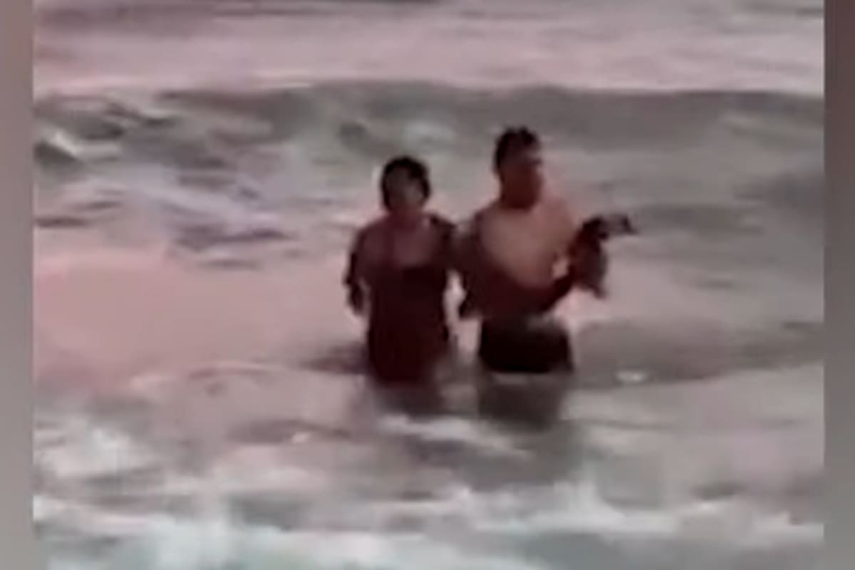La pareja al momento de sacar al animal del agua