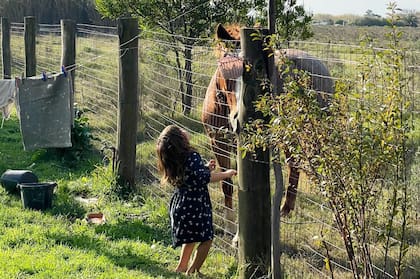 La pareja dejó el departamento que alquilaban en Once para que su hija pudiera crecer cerca de la naturaleza.
