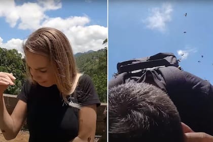 La pareja filmaba una excusión en su viaje a Sri Lanka cuando fueron atacados por abejas