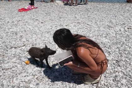 La pareja le dio de comer a los animales y pasó parte del día con ellos (Foto: Captura de video)