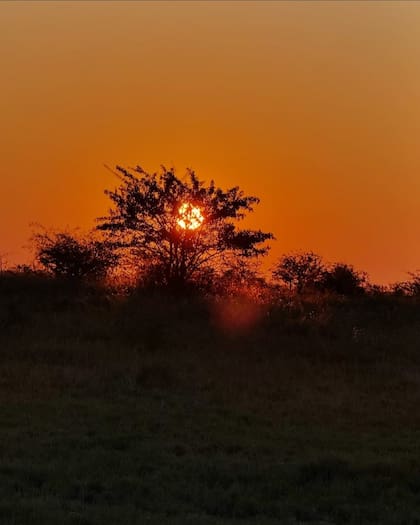 La pareja quedó encantada con los atardeceres (Foto: Instagram @carla.pereyra15)