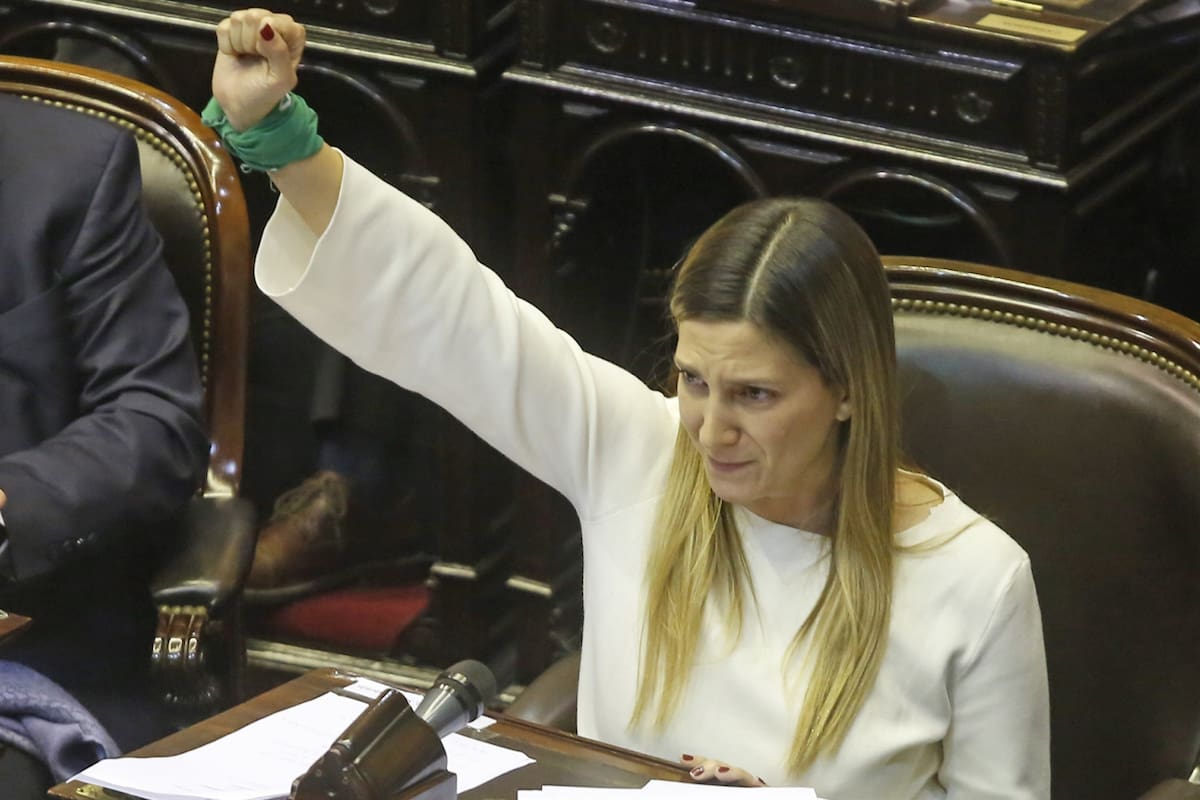 La parlamentaria de Cambiemos, durante su efusivo discurso en la Cámara de Diputados