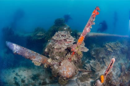 La parte delantera de un avión caído al fondo del mar durante la Operación Granizo