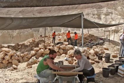 La participación de gran cantidad de voluntarios en lo que ha hecho exitosa esa búsqueda