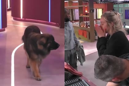 La participante de Gran Hermano no pudo evitar el dolor al ver a su perro y no poder moverse