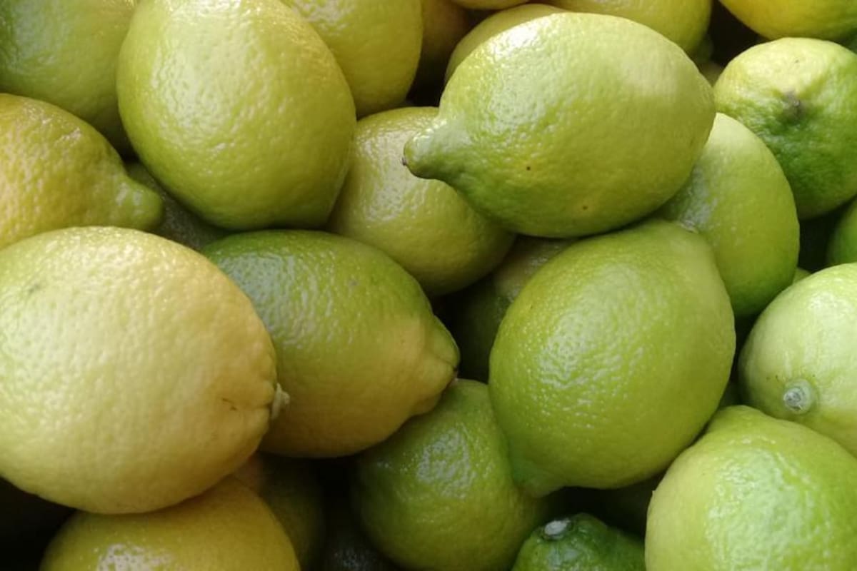 La partida exportada estuvo integrada por 6.405 pallets de limones, 4.823 de naranja, 860 de mandarinas, 166 de peras, más un lote con 6 pallets de nuez.