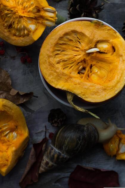 La pasta de calabaza es baja en calorías y es rica en fibra, por lo cual ayuda a controlar el peso