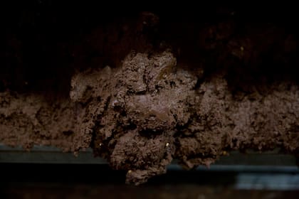 La pasta del cacao poco antes de ser chocolate