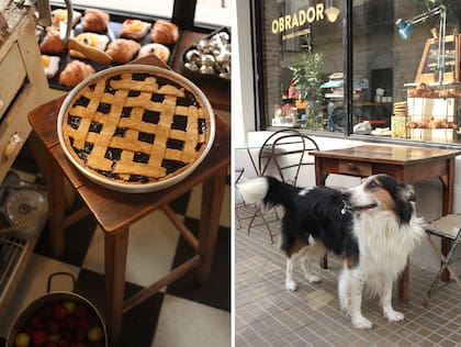 La pasta frola de la casa y Malevo, el perrito del local