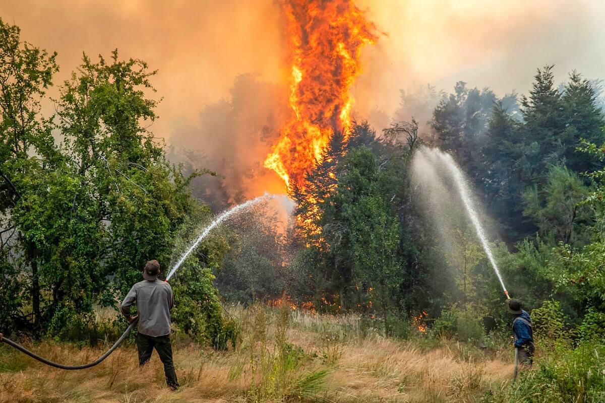 La Patagonia argentina sufre uno de los peores eventos forestales de las últimas tres décadas