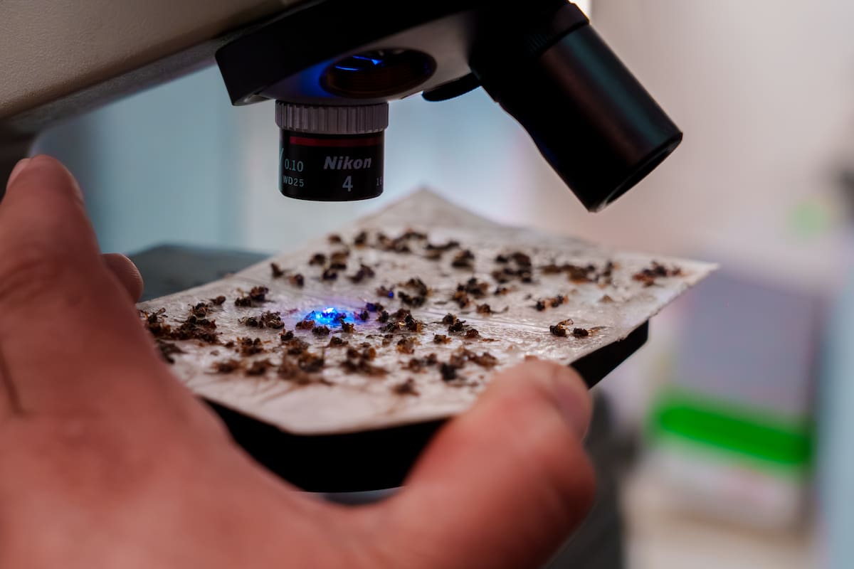 La Patagonia incorpora tecnología clave para sostener su estatus sanitario