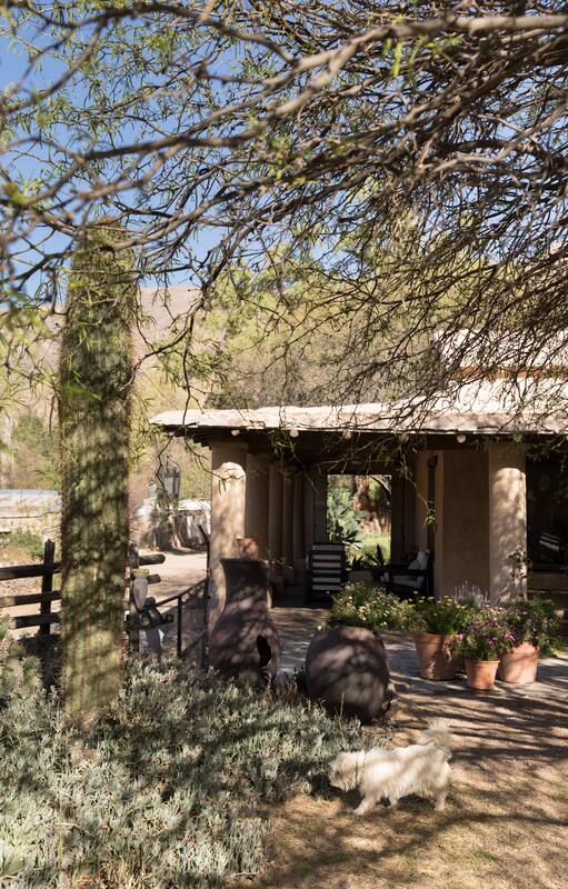El majestuoso contexto de la finca, que abrió sus puertas con el cambio de siglo.