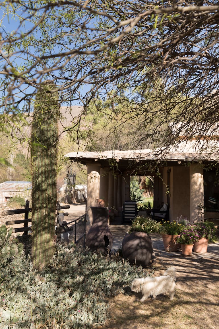 El majestuoso contexto de la finca, que abrió sus puertas con el cambio de siglo.