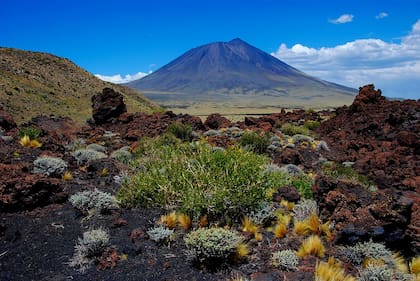 La Payunia es un gran territorio colmado de silenciosos volcanes que dejaron increíbles geoformas