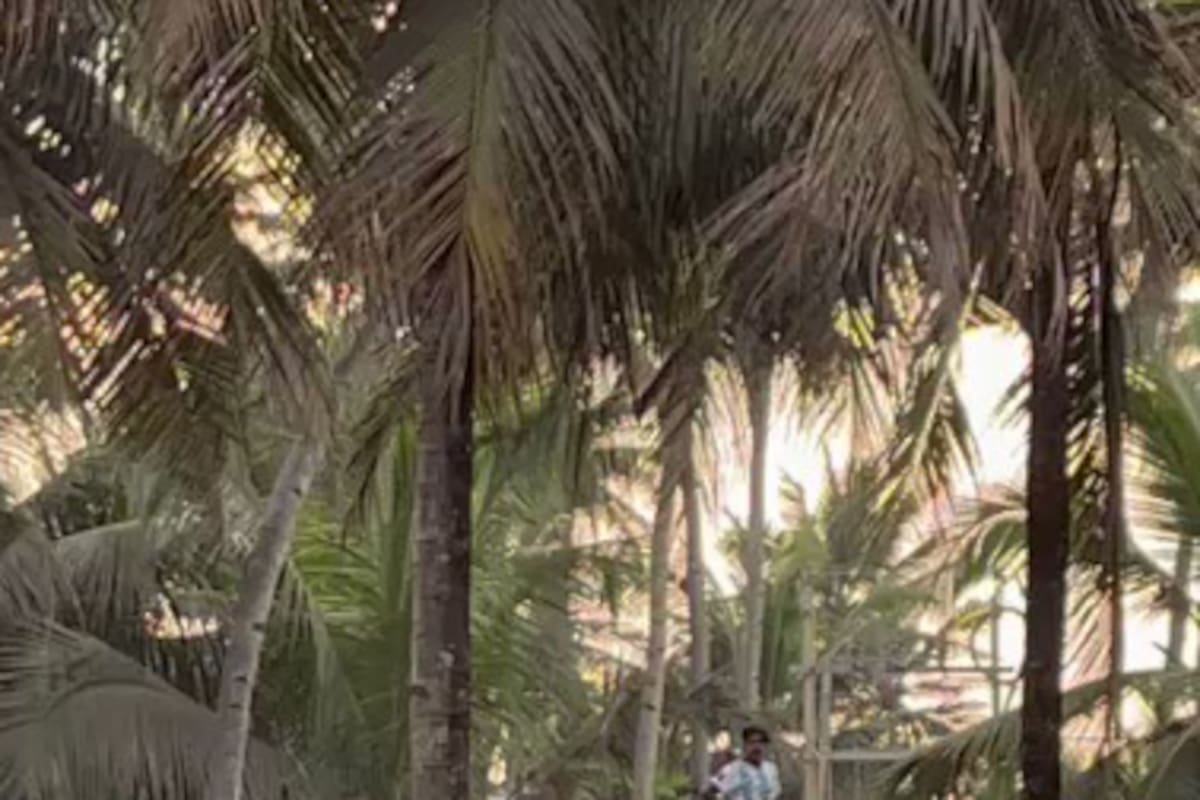 La pelea de los hinchas argentinos y brasileros de la India