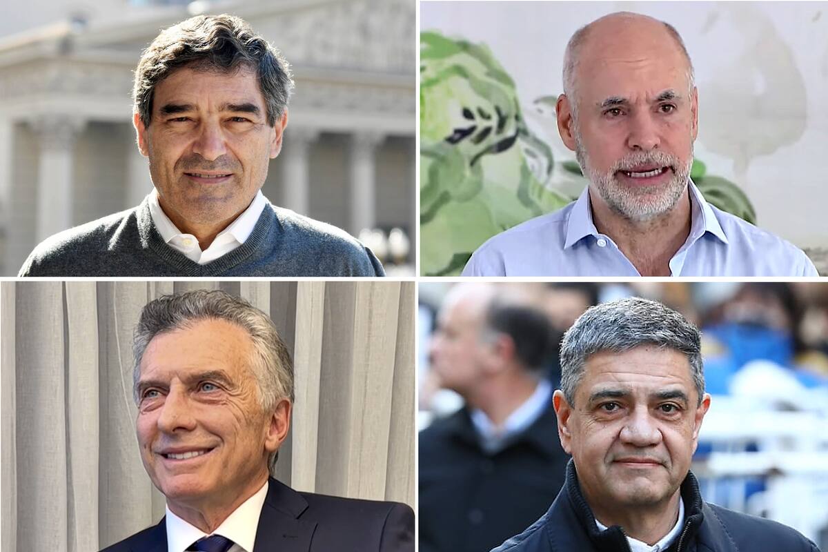 La pelea en Pro por la sucesión de Larreta