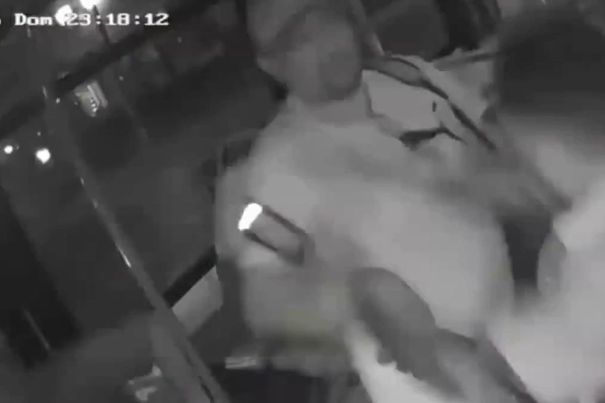 La pelea se desarrolló en un colectivo de la línea 113 en pleno movimiento