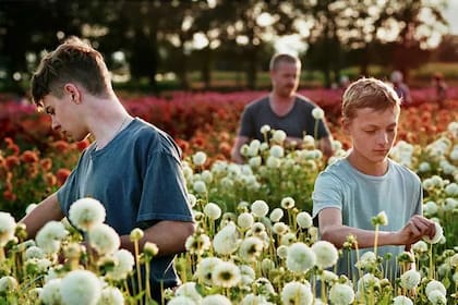 La película "Close" que ofrece una radiografía compleja sobre la adolescencia de Léo y Rémi, a través de una estética muy cuidada