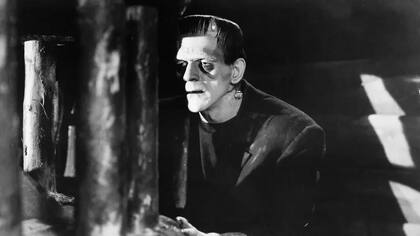 La película de 1931 de James Whale para Universal Pictures contó con Boris Karloff en el papel de la criatura