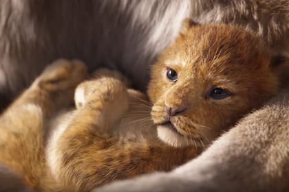 La película, dirigida por Jon Favreau, se estrenará en Argentina el 18 de julio de 2019