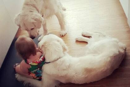 La pequeña Chloe con sus dos compañeros de aventuras