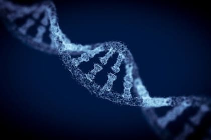 La pérdida del gen CMAH hizo que los humanos tuvieran más predisposición a los ataques cardíacos