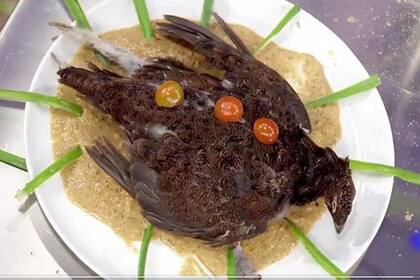 La perdiz, sin desplumar y completamente cruda, fue emplatada con algunos tomatitos cherrys y cebolla de verdeo al rededor.