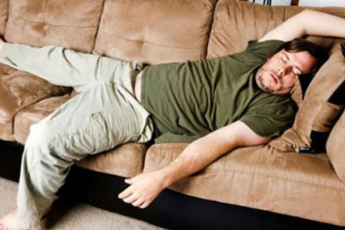 La pereza fue estudiada a nivel científico