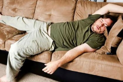 La pereza fue estudiada a nivel científico