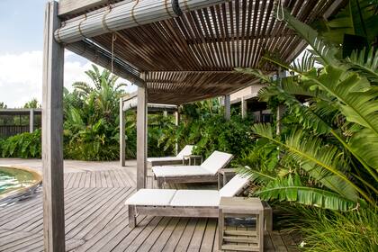 La pérgola como lugar de sombra, que marca la circulación y acompaña la pileta que se encuentra en el centro del espacio. La vegetación exuberante envuelve el sitio (Arq Mario Connio)