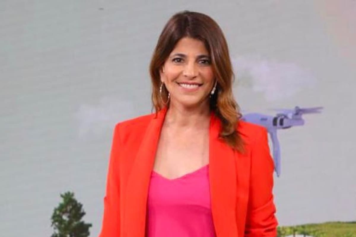 La periodista de La Nación + relató el mal momento que vivió en panamericana: le tiraron una piedra al auto y le astillaron el vidrio