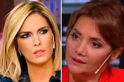 La periodista habló sobre Viviana Canosa y su cruce con el presidente Alberto Fernández