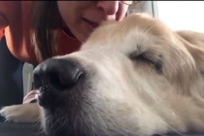 La periodista le cantó al perro durante sus últimos días