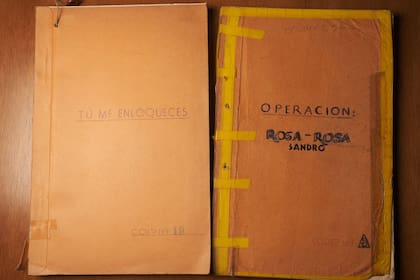 Los clásicos del cine popular tuvieron su puntapié inicial en el papel. Los guiones fueron hallados tal como los atesoró Sandro en espacios ocultos de su mansión de Banfield.