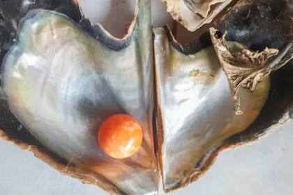 La perla fue valuada en casi US$300.000