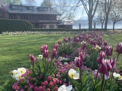 La Perle du lac, el restaurante en Ginebra, Suiza, donde se reunió el ministro Moroni con empresarios y sindicalistas en un alto del Congreso de la Organización Internacional del Trabajo