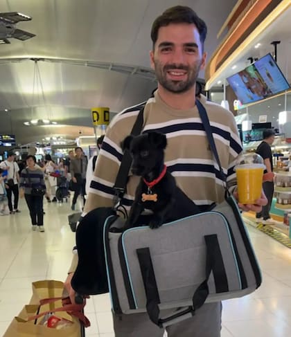 La perra soportó el viaje en avión sin problemas (Foto: The Dodo)