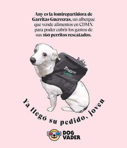 La perrita ya es una sensación en las redes sociales. Fuente: DogVader/Facebook