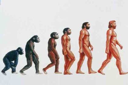 La creatividad habría tenido una participación estelar en la evolución humana