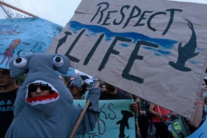 La pesca ilegal ha sido una gran amenaza para los ecosistemas marinos en esta zona del planeta