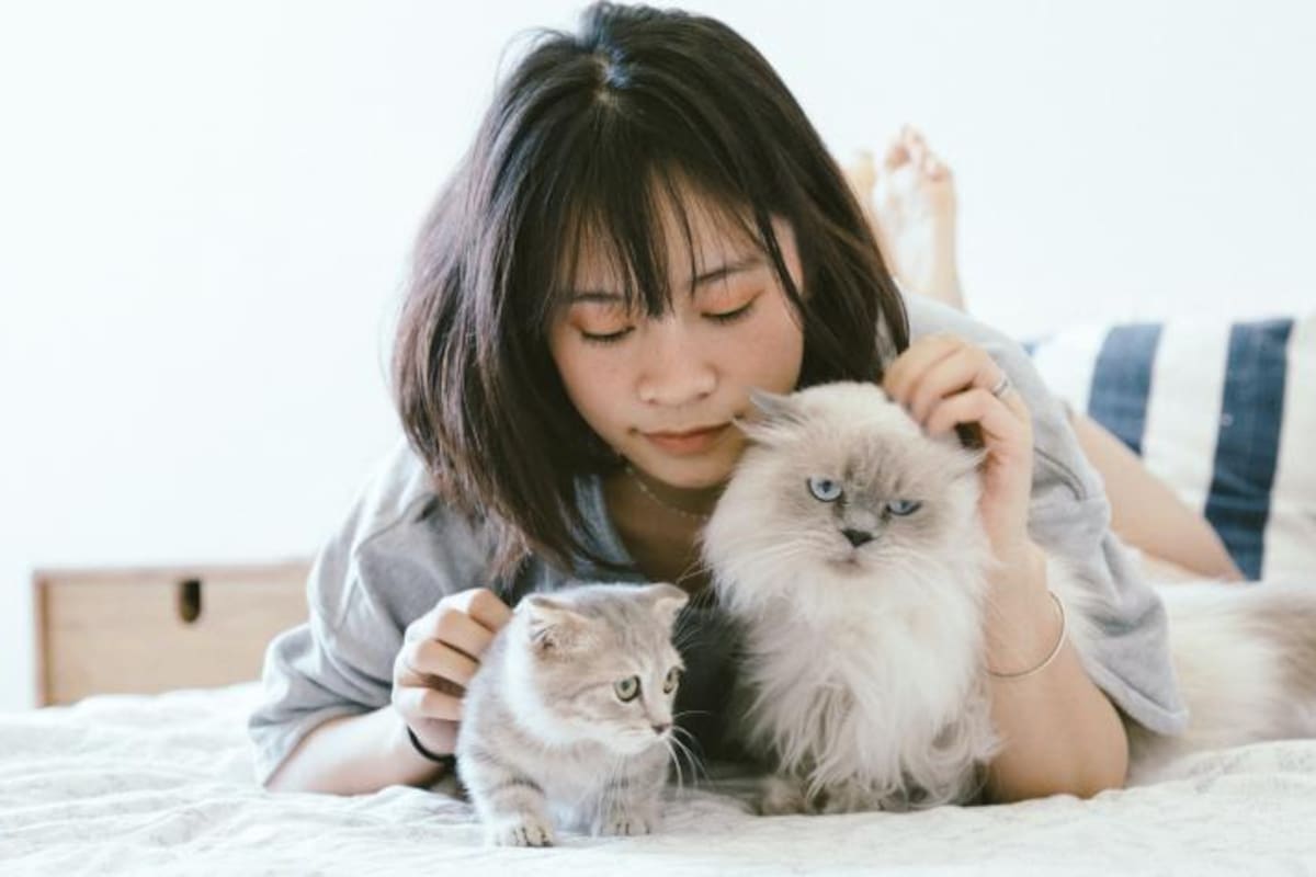 La petofilia puede generarse por vacíos o carencias afectivas que las personas pueden desarrollar