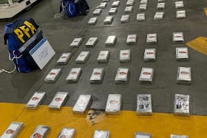 La PFA estuvo a cargo del operativo que derivó en el secuestro de 165 kilos de cocaína en el puerto de Zárate, en 2022