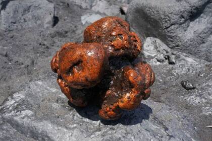 La piedra hallada en los intestinos de un cachalote en La Palma tenía un peso de 9 kg y unos 20 cm de diámetro